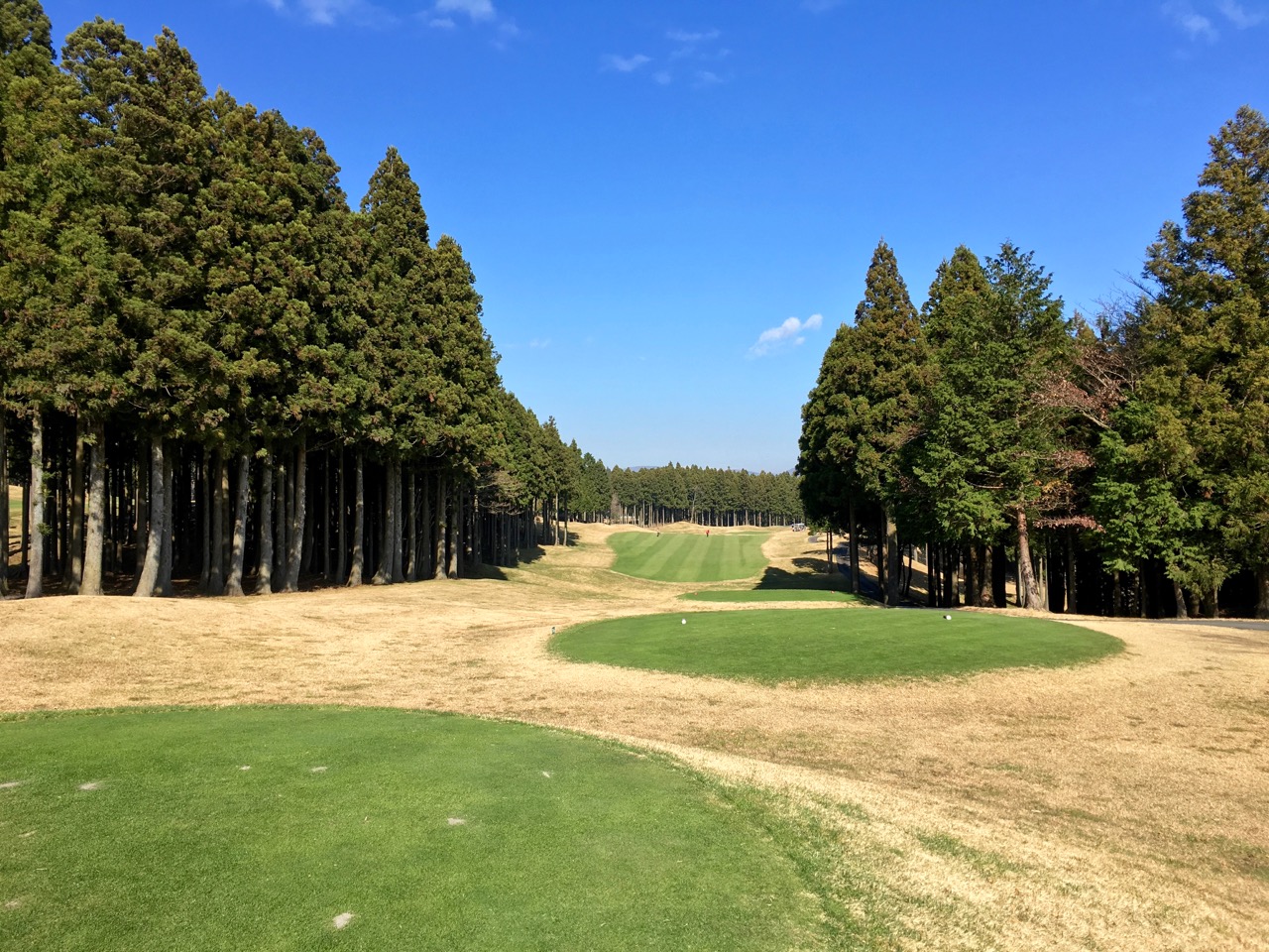 クラブ 御殿場 太平洋