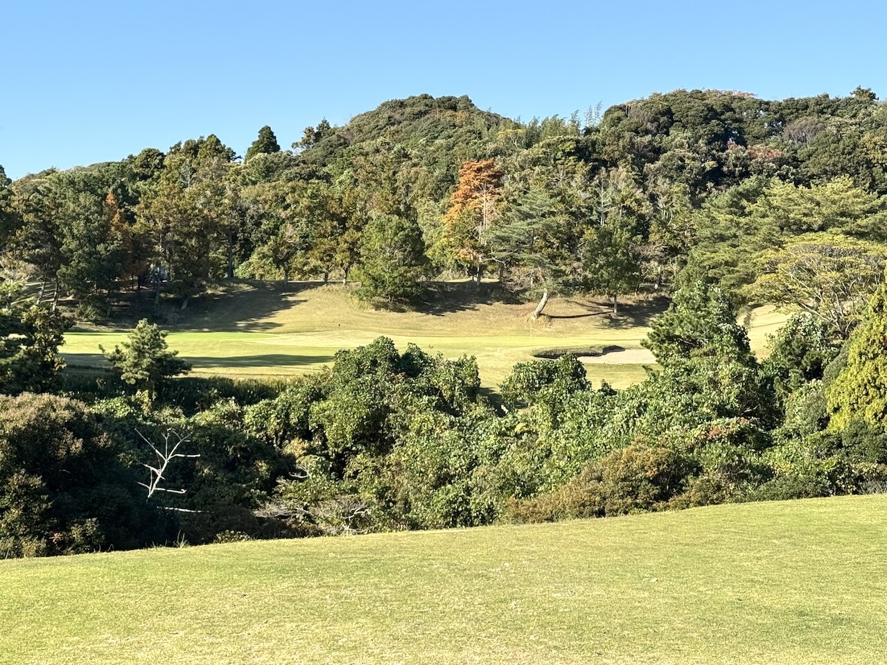 一の宮カントリー倶楽部 : 日常の風景と無駄話と