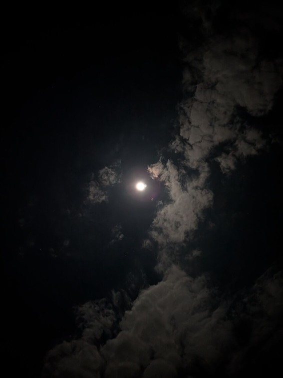 PXL_20251106_135808906