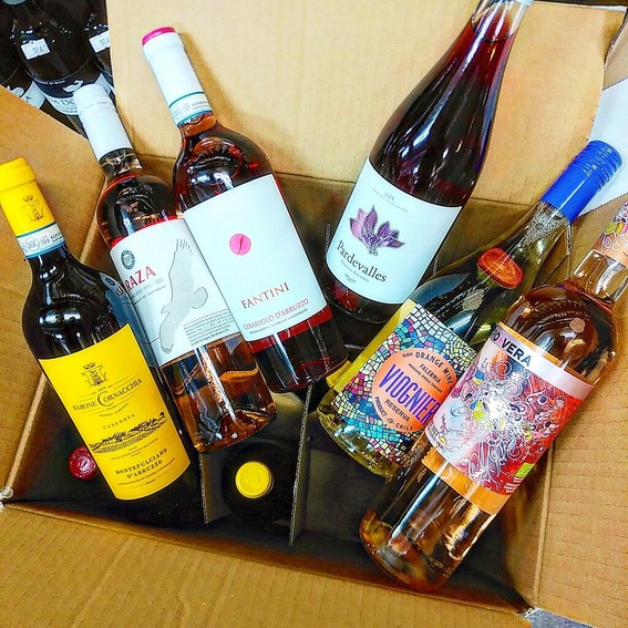 IMG_20240227_173906_070