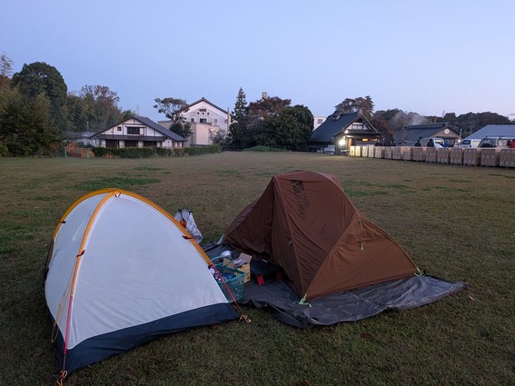 PXL_20251106_205205080