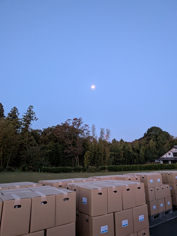 PXL_20251106_204416063