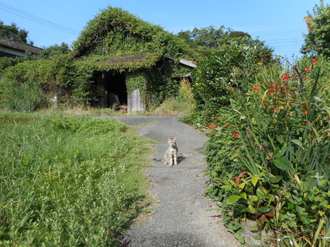 DSCN1212