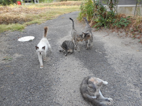 DSCN1411