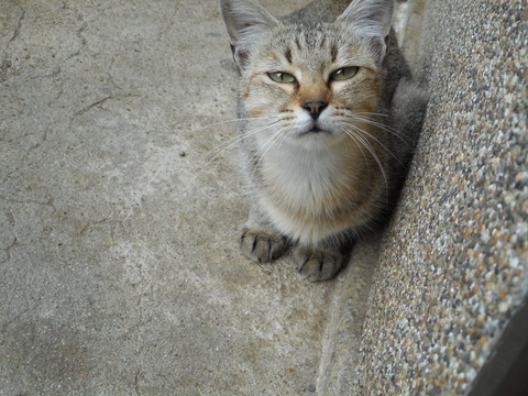 DSCN1531