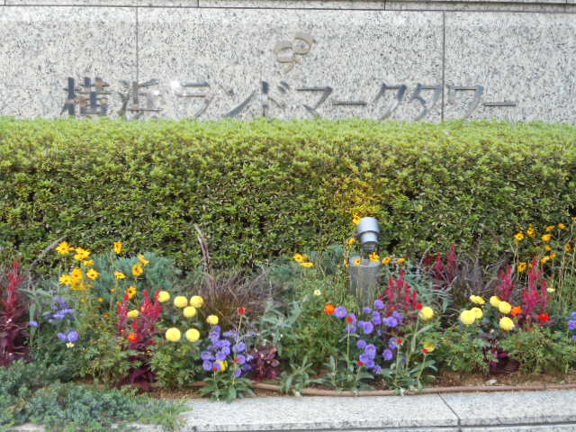 DSCN3344