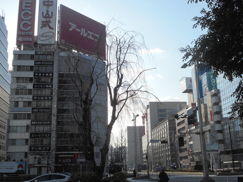 DSCN2998