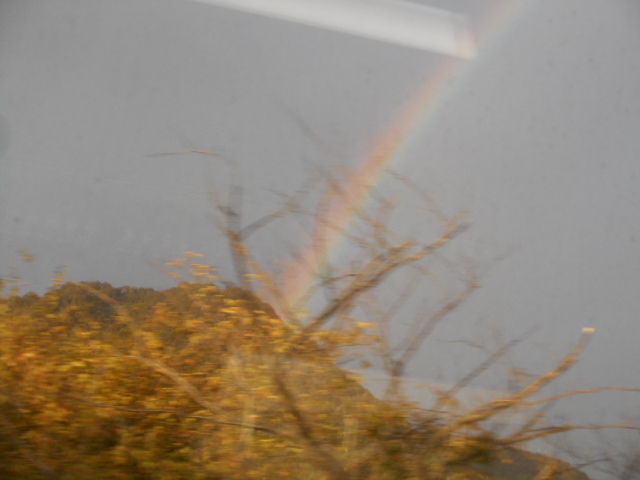 DSCN3335