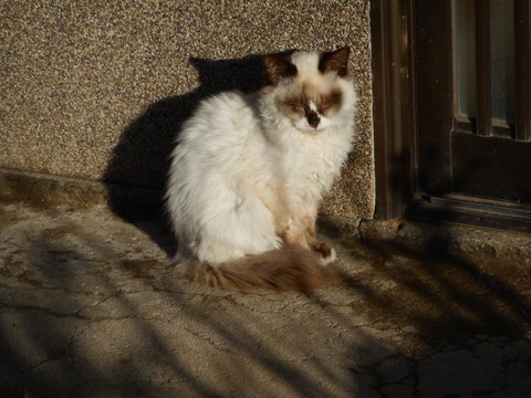 DSCN1758