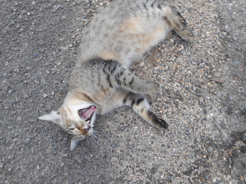 DSCN1566