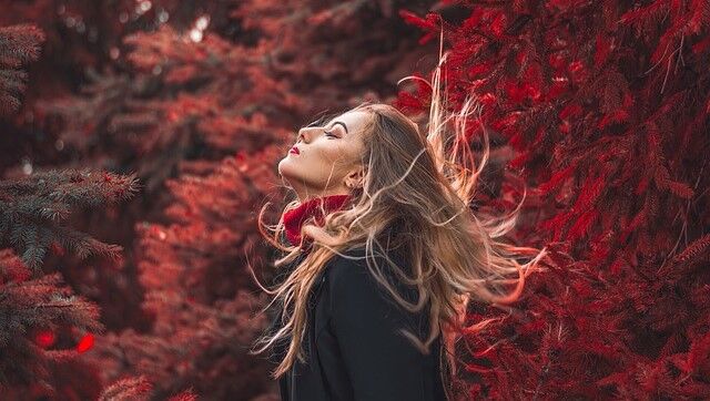 portrait-4599559_640