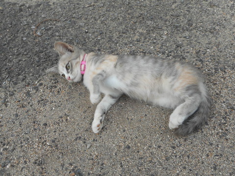 DSCN1410