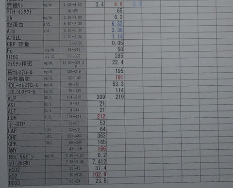 DSCN2932 (4)