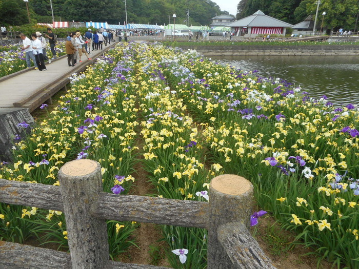 DSCN3177