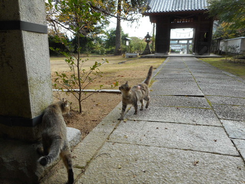 DSCN1572