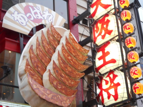 DSCN2910