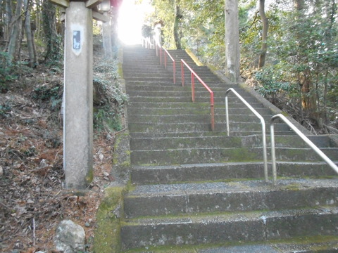 DSCN1822