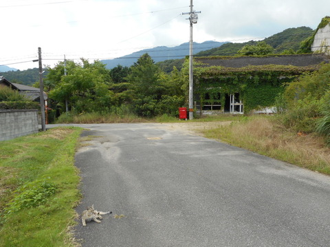 DSCN1117