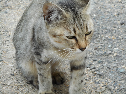 DSCN1508