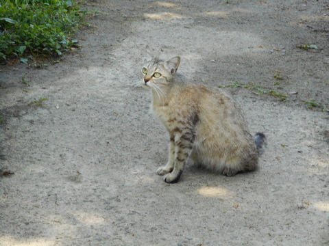 DSCN0530