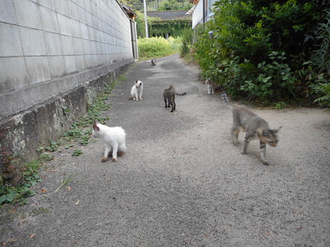 DSCN1325