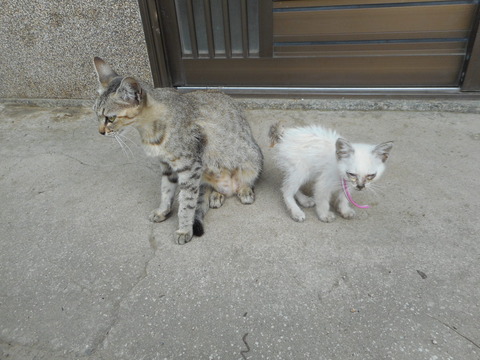 DSCN1279