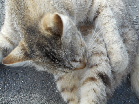DSCN0319
