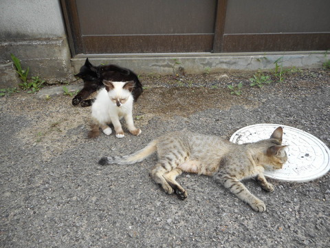 DSCN1189