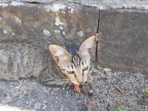 DSCN1427
