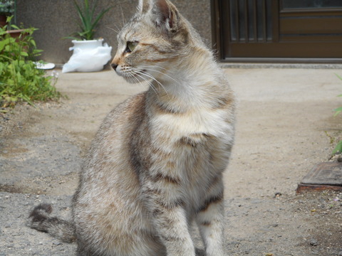 DSCN0573