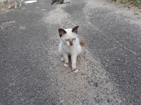 DSCN1313