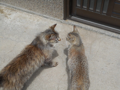 DSCN0583