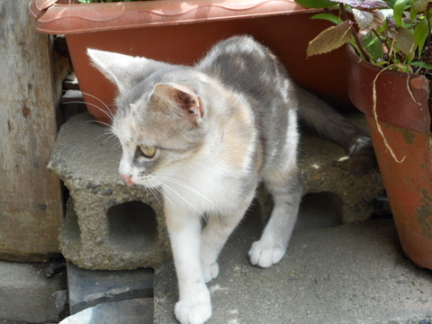 DSCN1442
