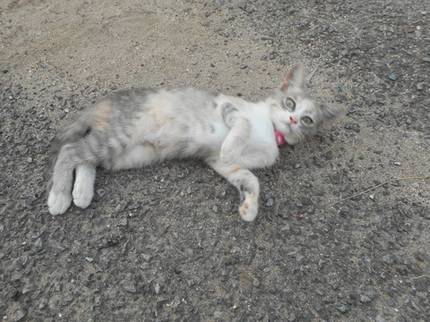 DSCN1409