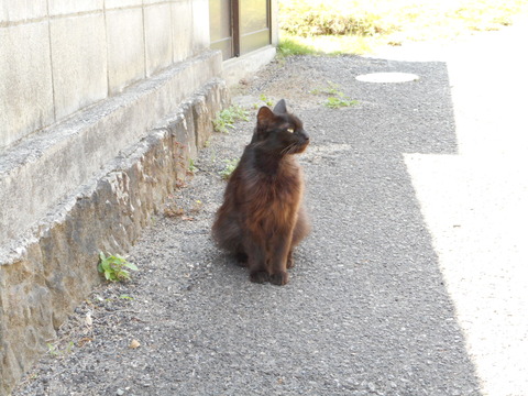 DSCN0609