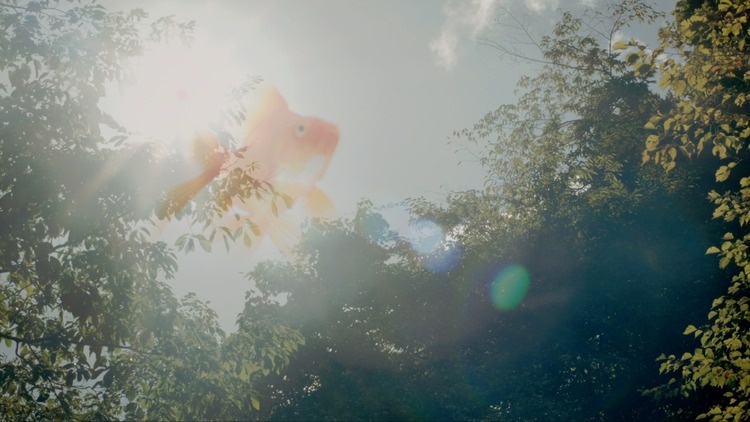 ���饹�α�Ƿ�򿩤餦_main