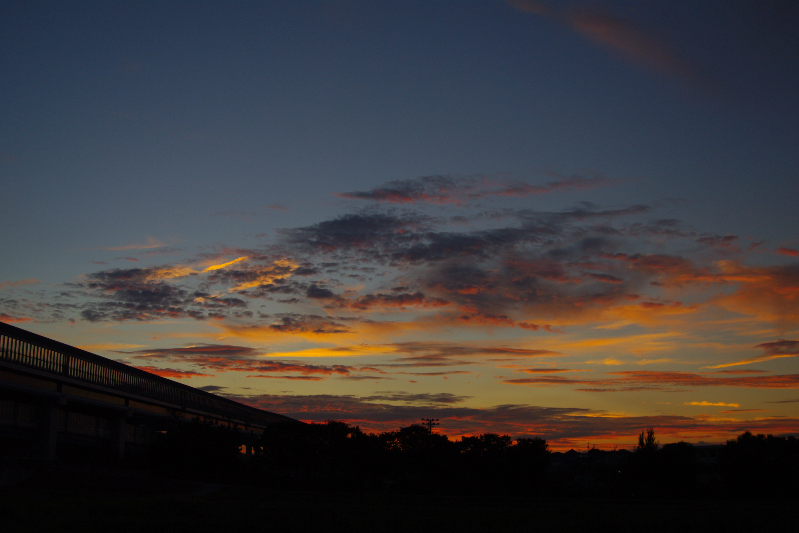 夕闇 : DAILY LIFE