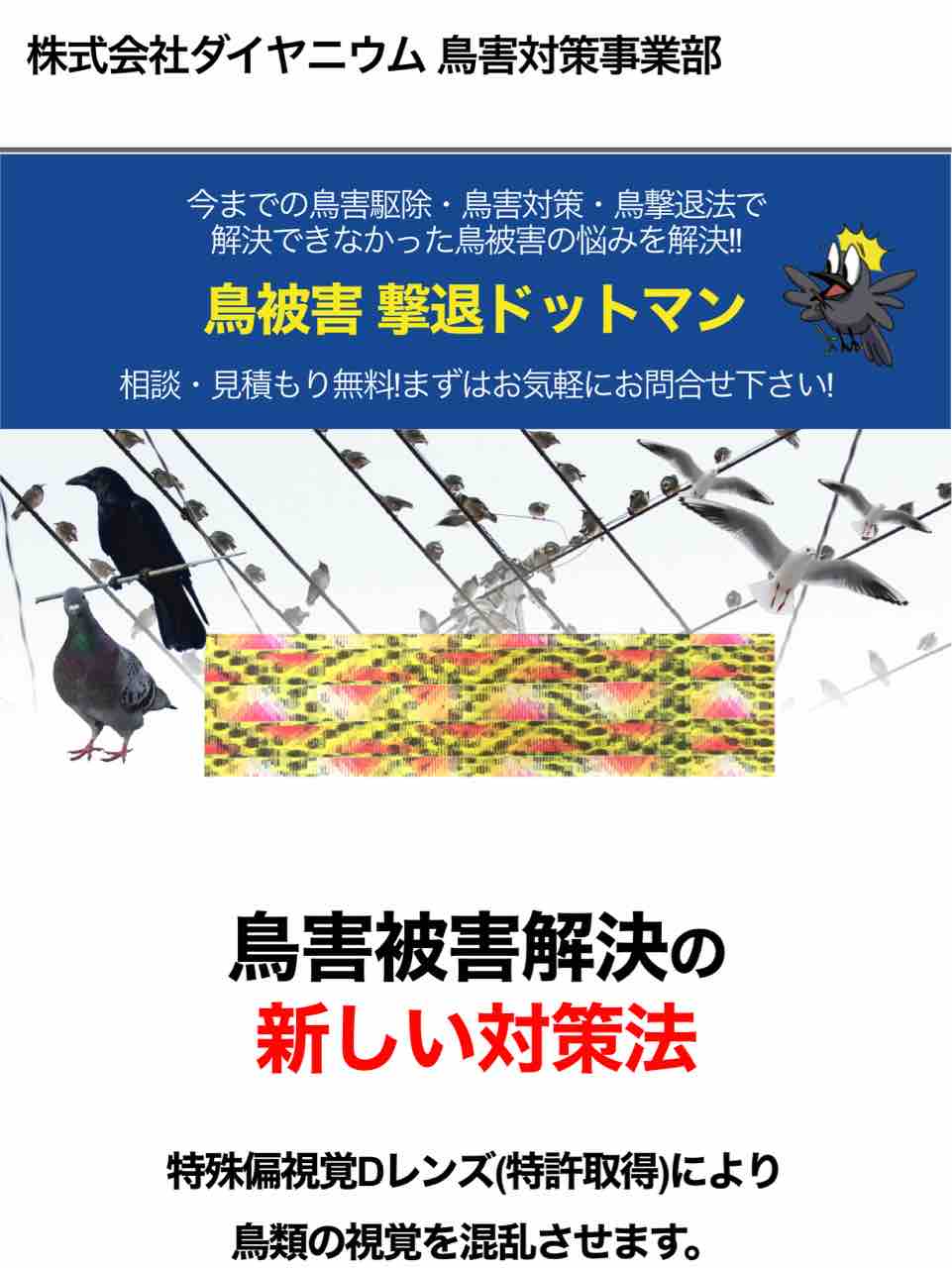 素人さんの為の不動産学校 2393 鳥害被害対策 鳩 カラス