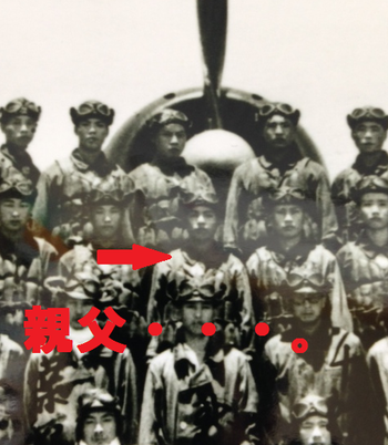 ������桡����