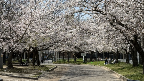 金岡公園_01