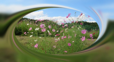 tuxpi.com.1600258232