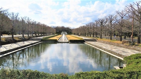 IMG_2856 (2)