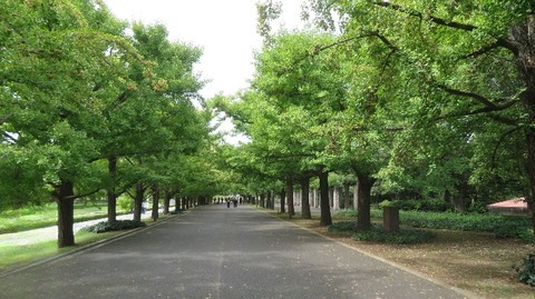 IMG_4221_clipdrop-cleanup