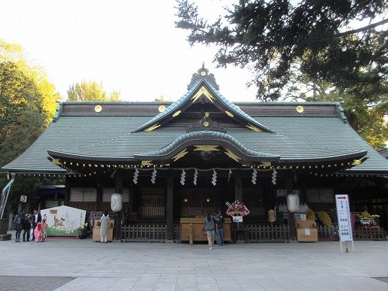 イメージ 5