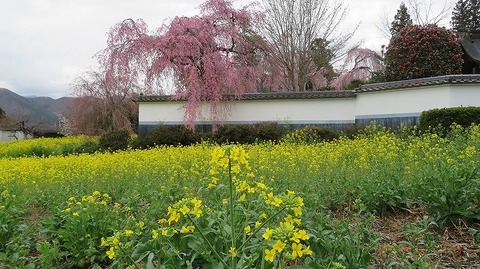 IMG_7373