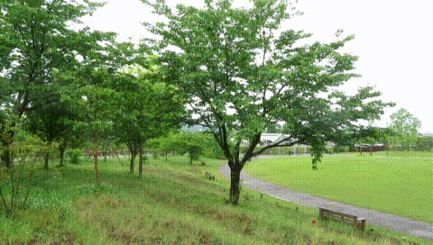 MVI_9469(2)
