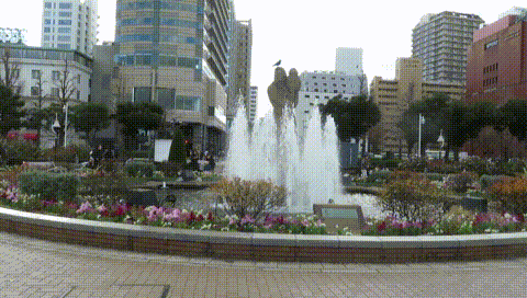 MVI_4283