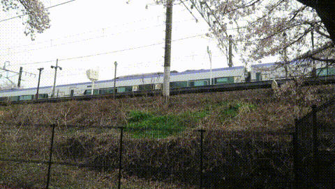 MVI_6825
