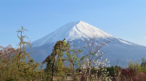 IMG_2367 (2)