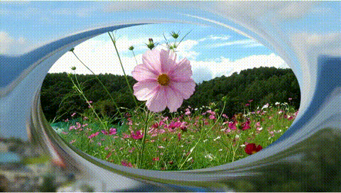 プレゼンテーション6 (3)